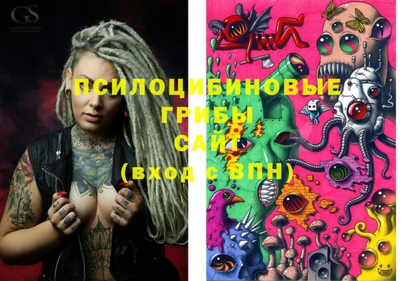 крисы Киреевск