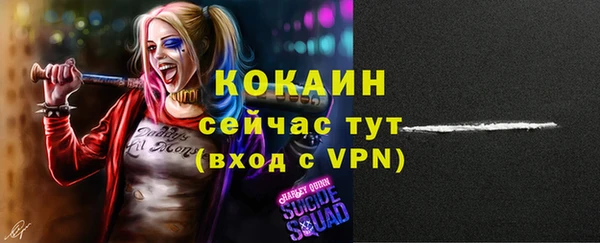 твердый Пересвет