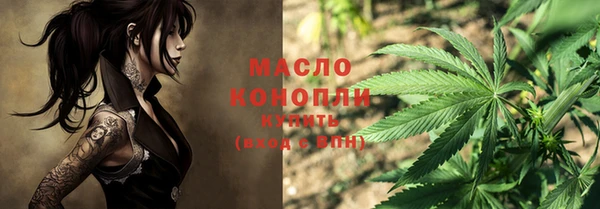 дмт Переславль-Залесский