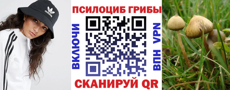 маркетплейс как зайти  ОМГ ОМГ рабочий сайт  Лесной  Галлюциногенные грибы мицелий 